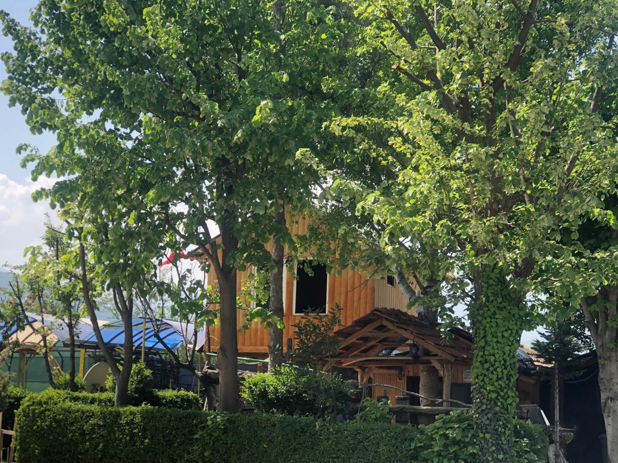 Bujtina Gashi Guest House Kukes Exterior photo