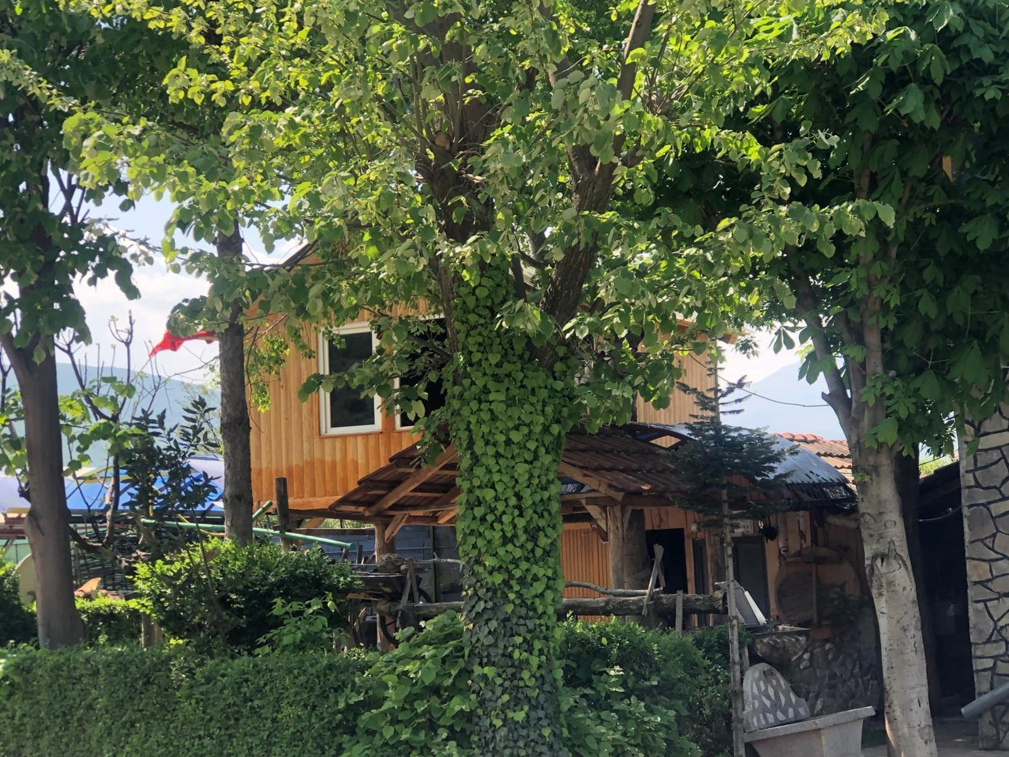 Bujtina Gashi Guest House Kukes Exterior photo