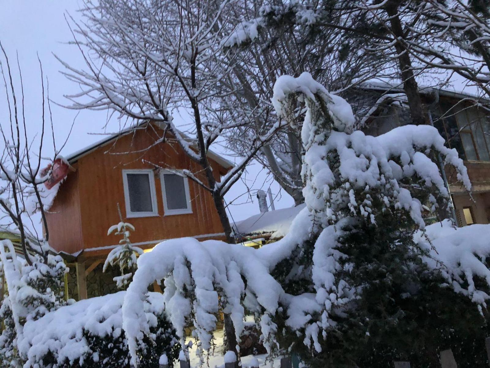 Bujtina Gashi Guest House Kukes Exterior photo